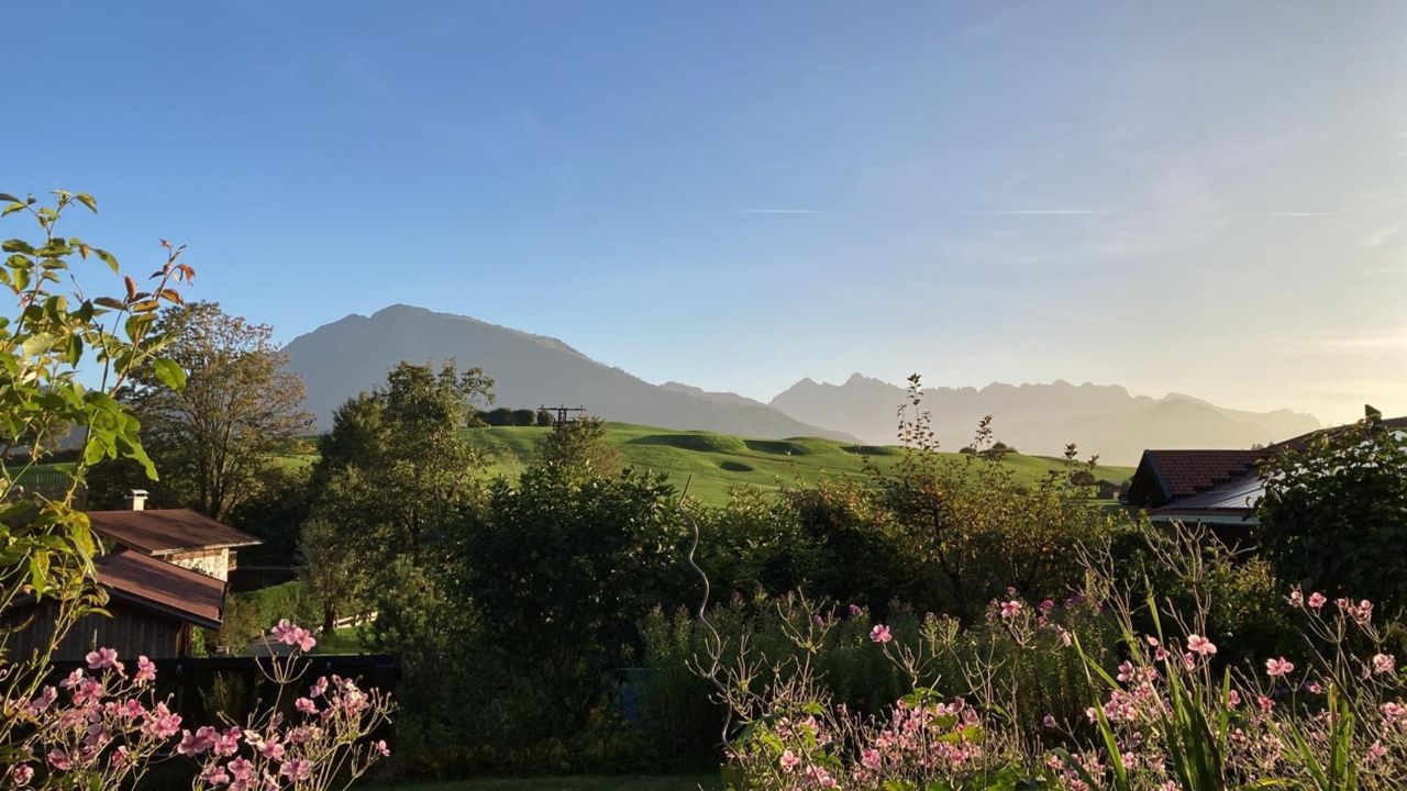 Ausblick Ausblick